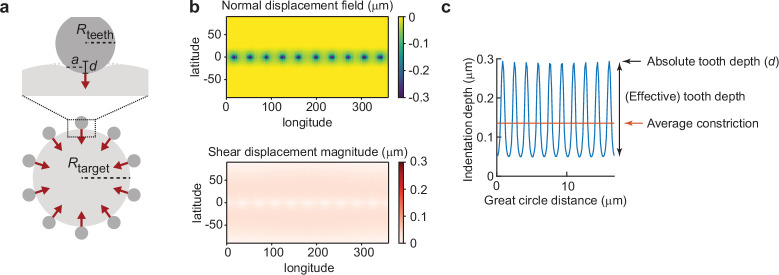 Figure 4—figure supplement 2.