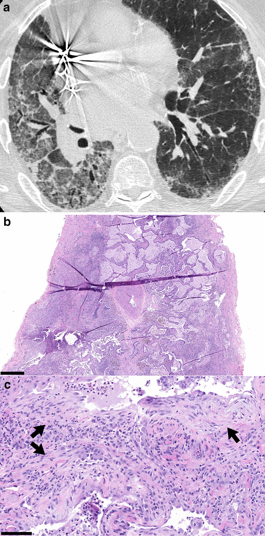 Fig. 5