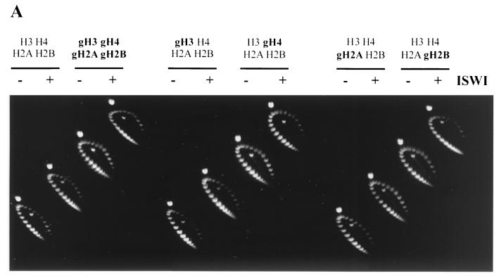 FIG. 4