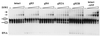 FIG. 5