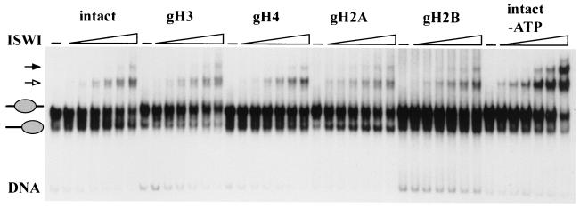 FIG. 5