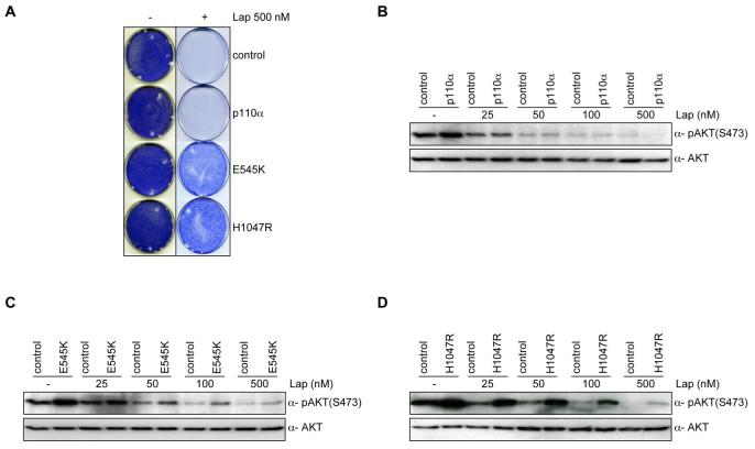 Fig.4