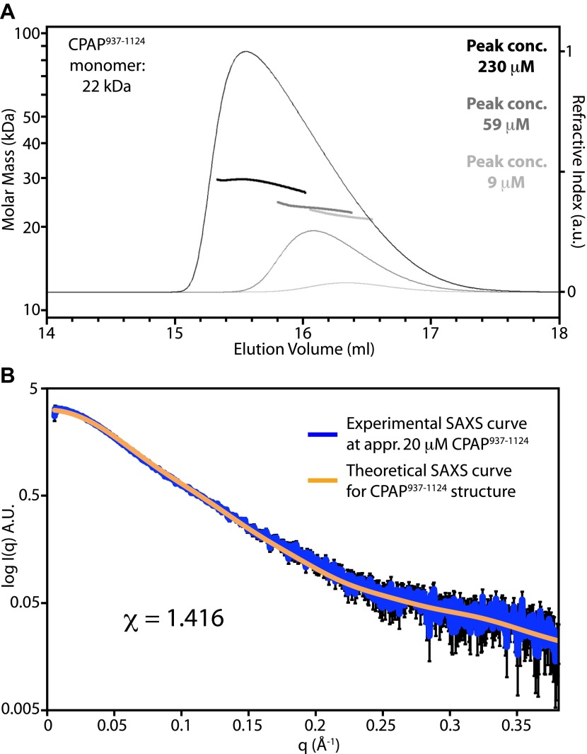 Figure 1—figure supplement 3.