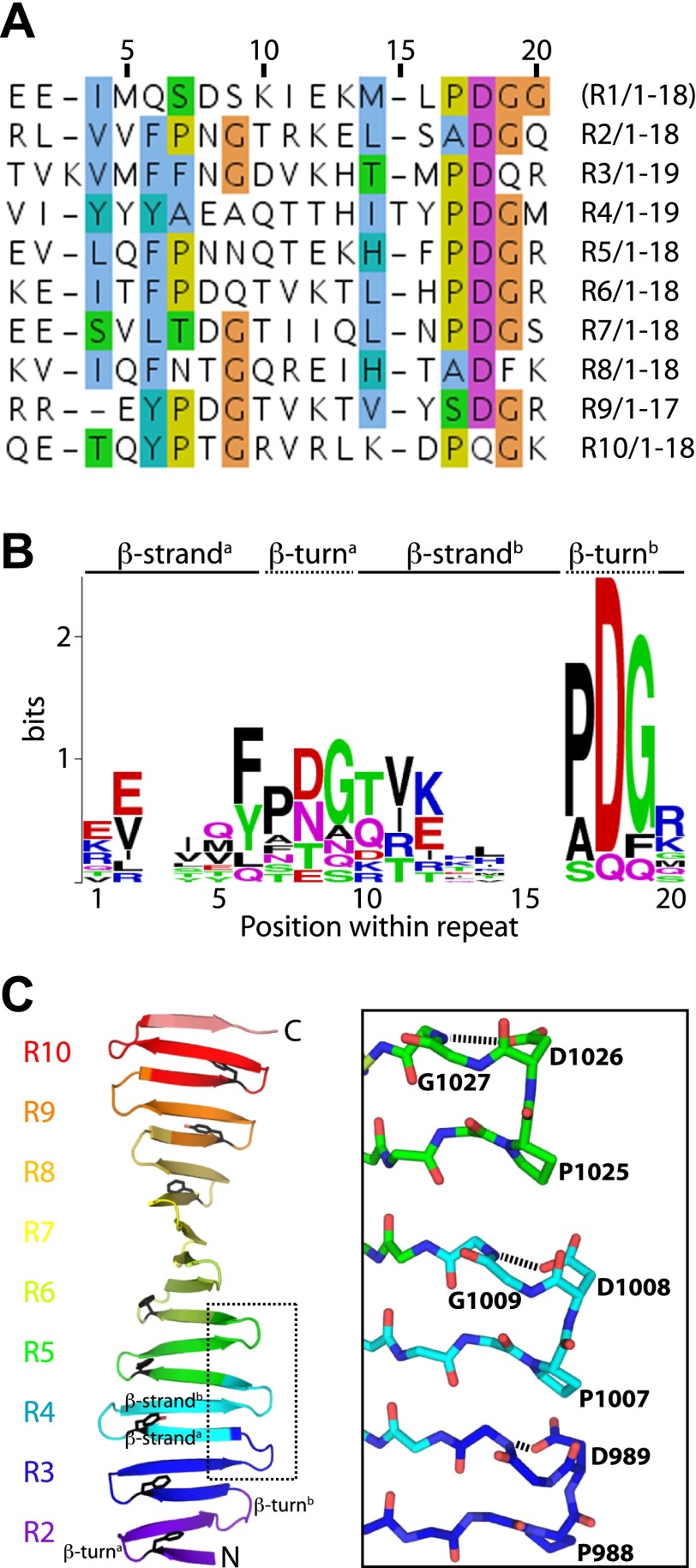 Figure 1—figure supplement 2.