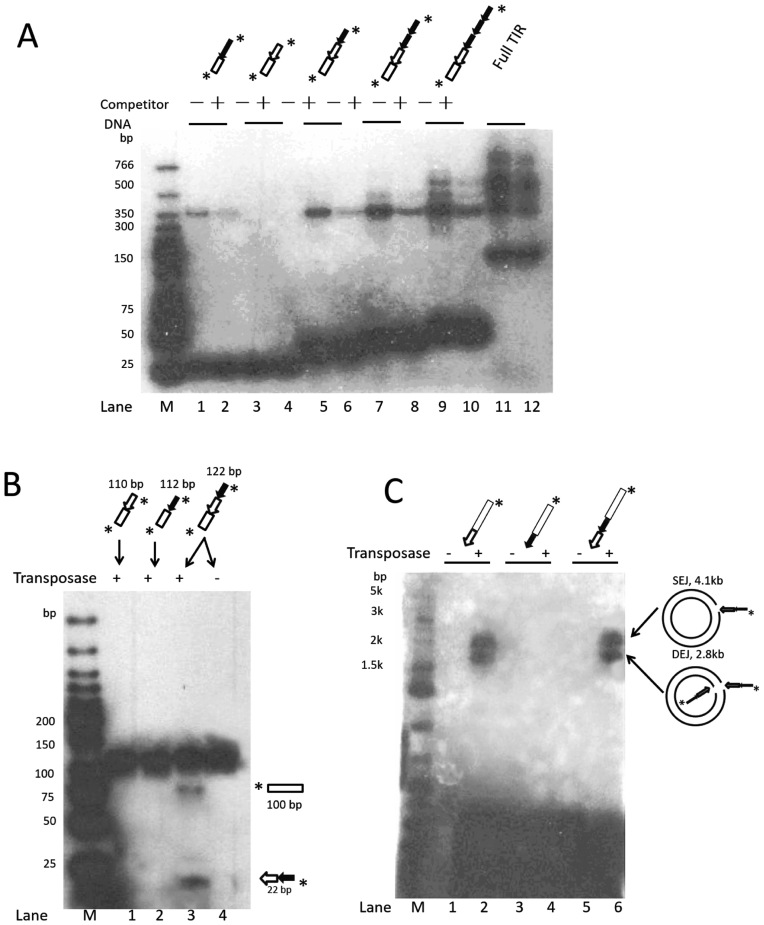 Figure 5.