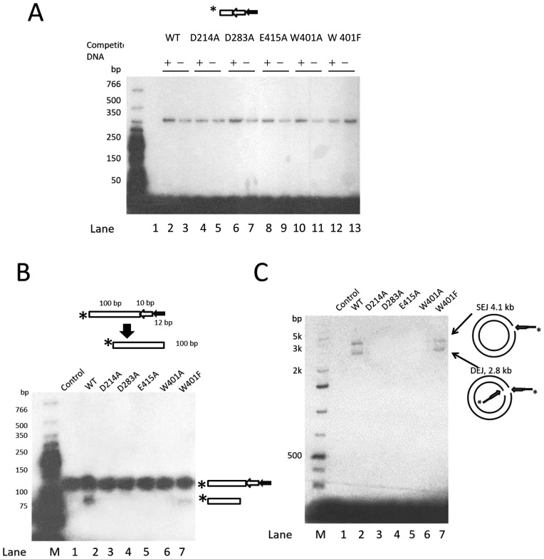 Figure 7.