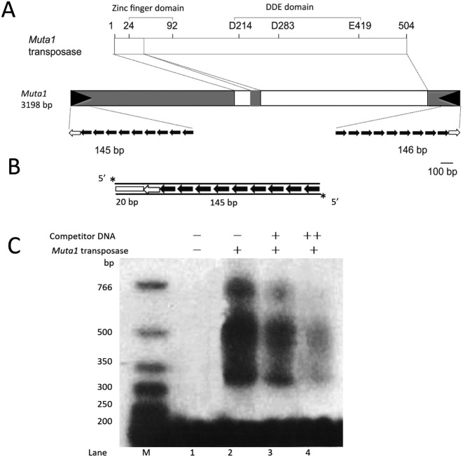 Figure 2.