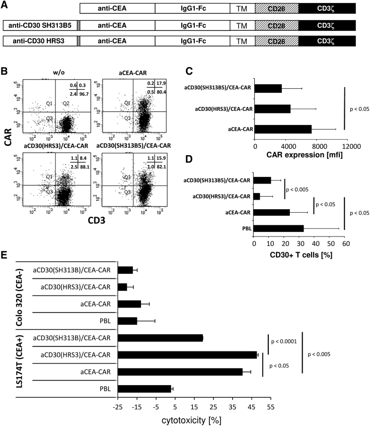 Figure 7