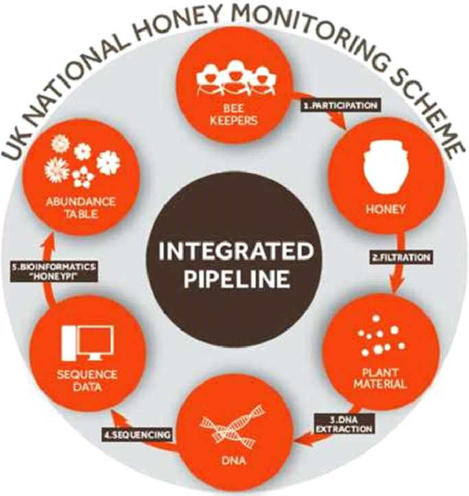 Image, graphical abstract