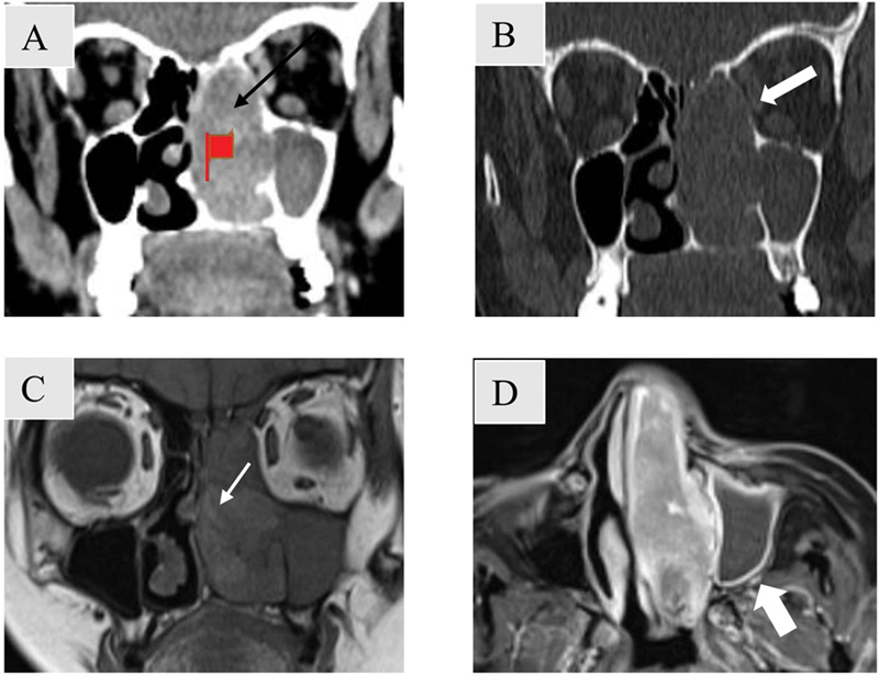 Fig. 10