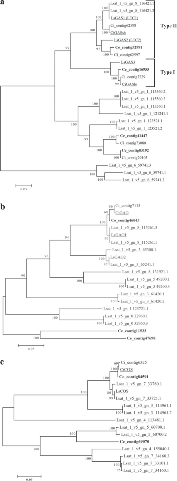 Fig. 5