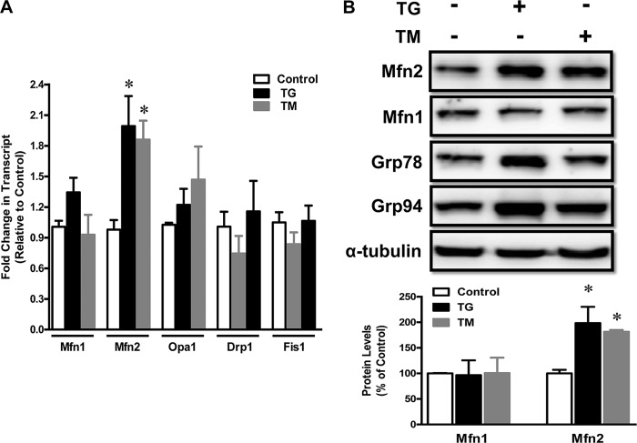 FIGURE 1.