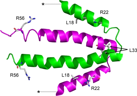 FIGURE 4.