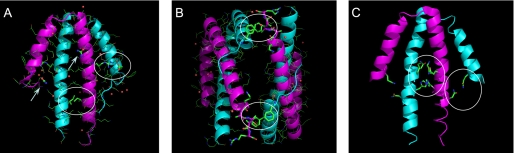 FIGURE 2.