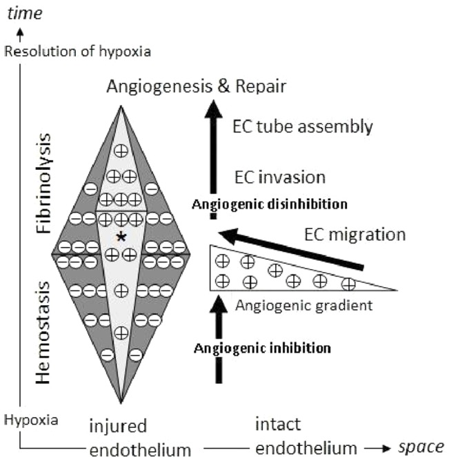 Fig 7