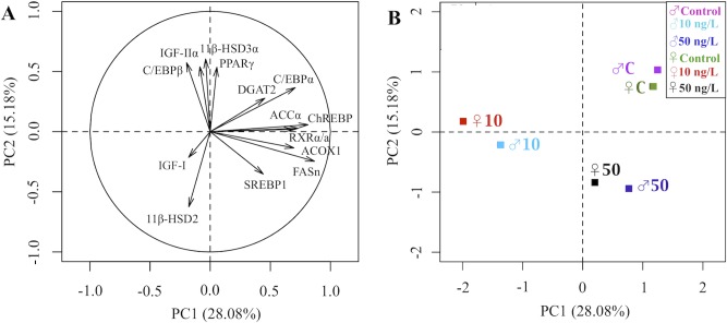 Fig 7