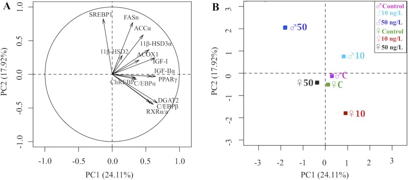 Fig 6