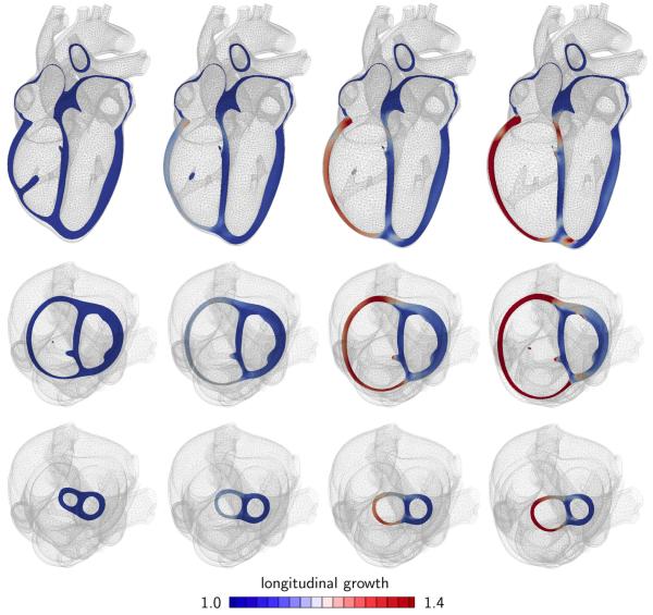 FIGURE 6