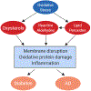 Figure 2 -