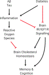 Figure 1 -