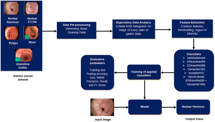 Figure 2