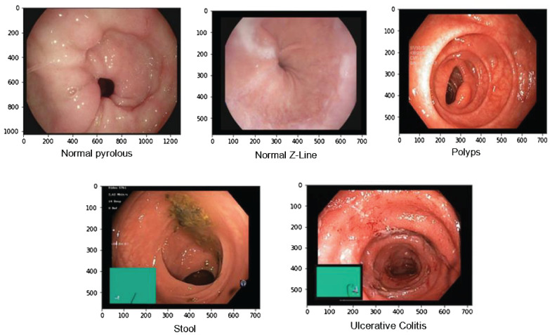 Figure 3