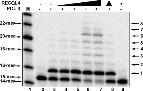 Figure 6.