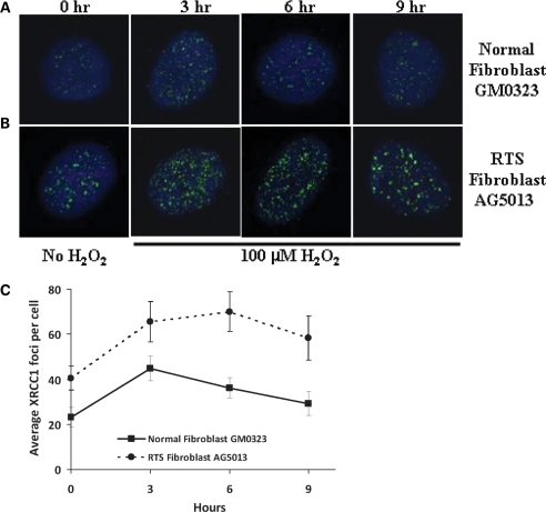 Figure 2.