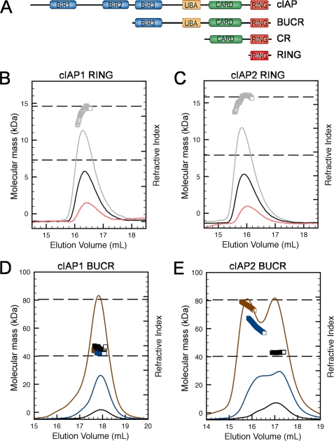 FIGURE 1.