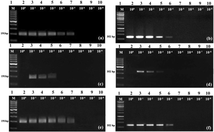 Fig. 3