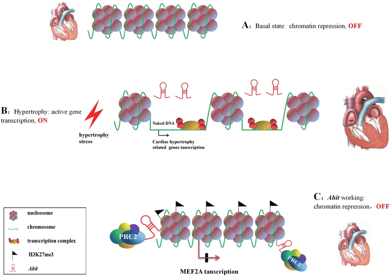 Figure 9.