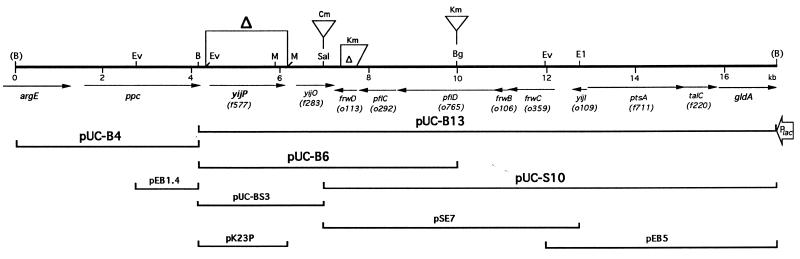 FIG. 1