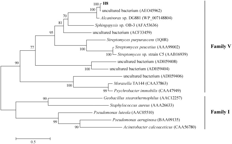 FIGURE 1