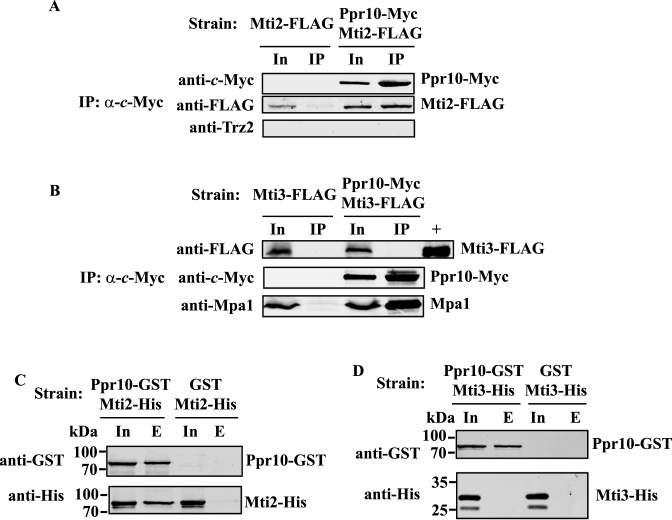 Figure 10.