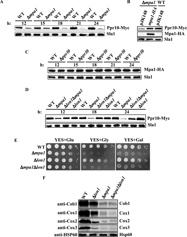 Figure 9.