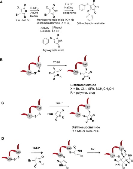 Scheme 2