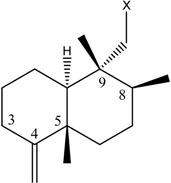 graphic file with name molecules-12-01376-i001.jpg