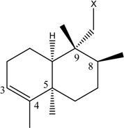 graphic file with name molecules-12-01376-i005.jpg