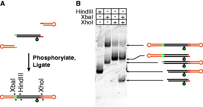 Figure 2.