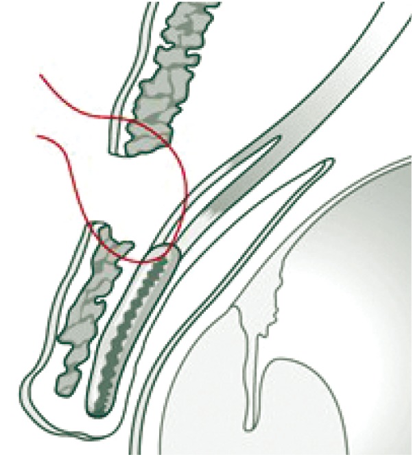 Fig. 8