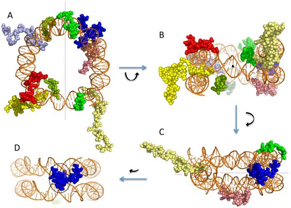 Fig. 2