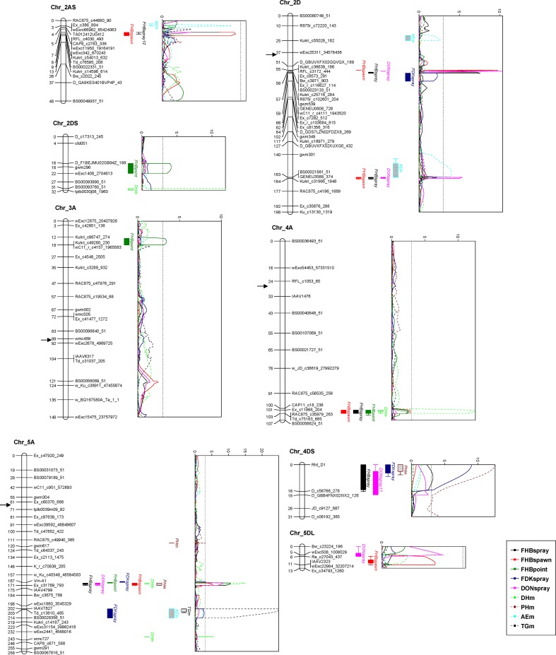 Fig 2