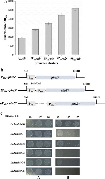 Fig. 4