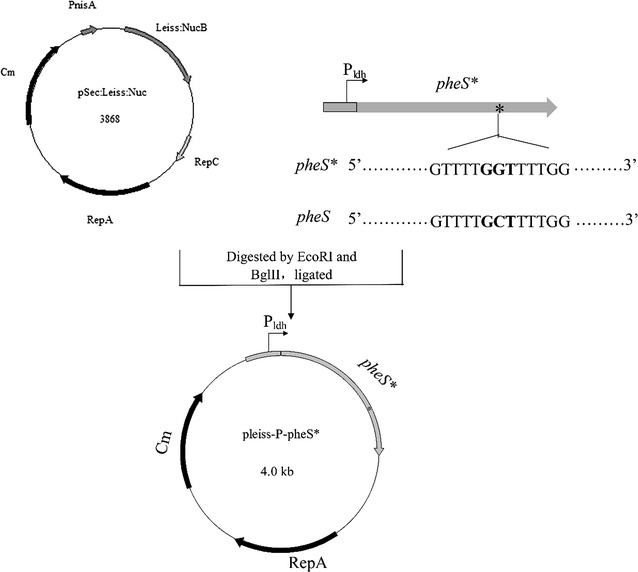 Fig. 2