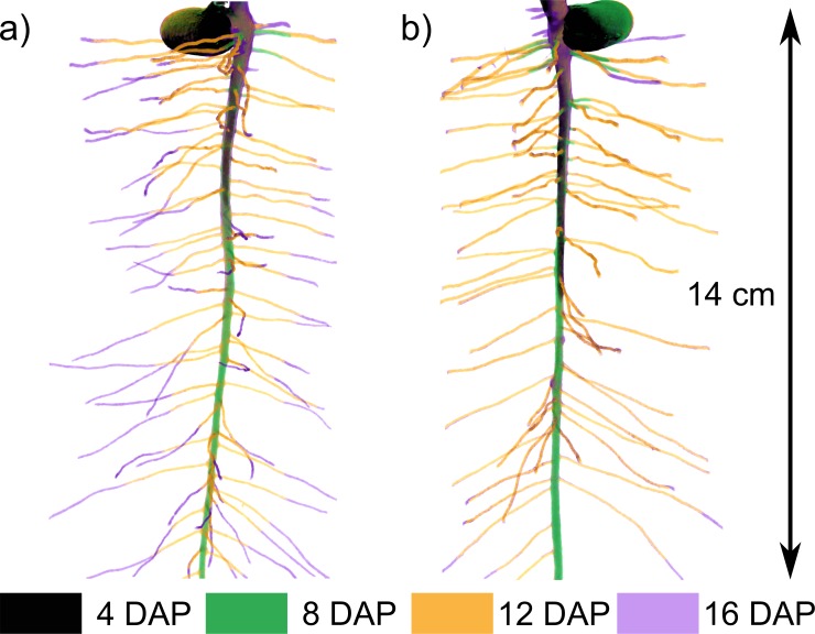 Fig 1