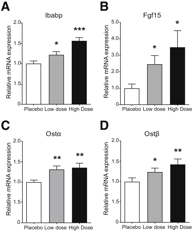 Figure 6