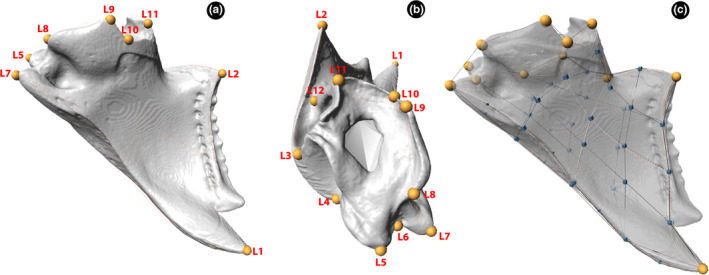FIGURE 2