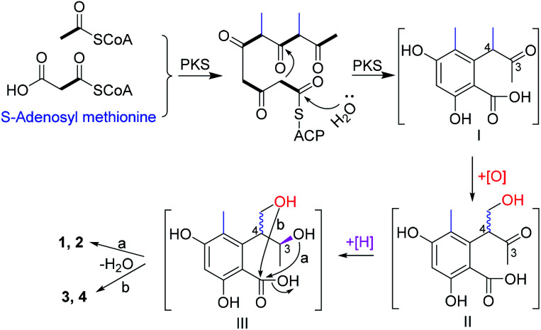 Scheme 1