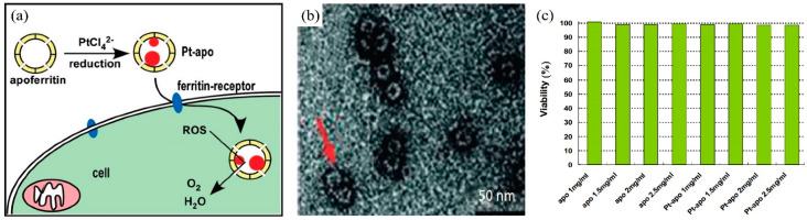 Figure 14