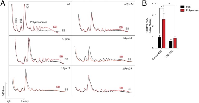 Fig. 5.